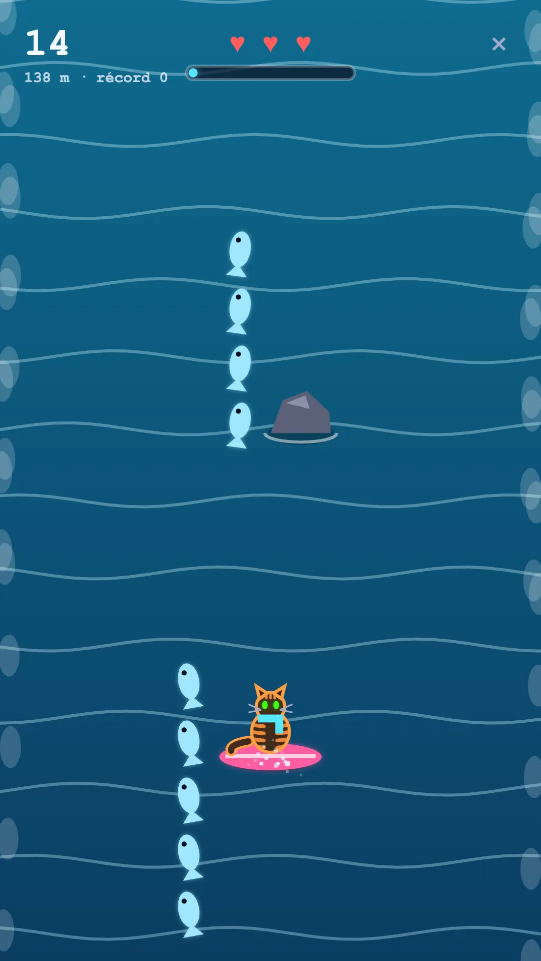 Michiazo: el michi surfea la ola juntando peces